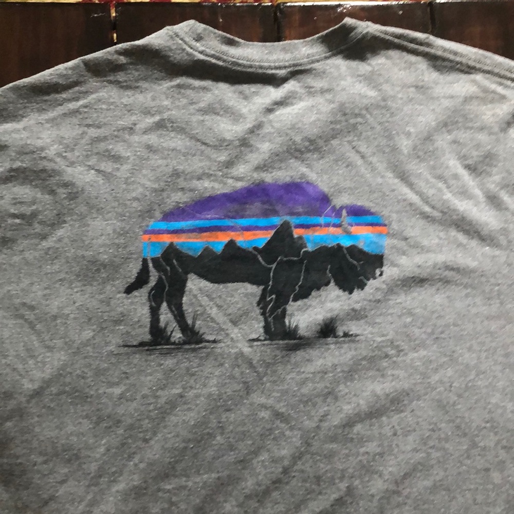 Patagonia grey tshirt